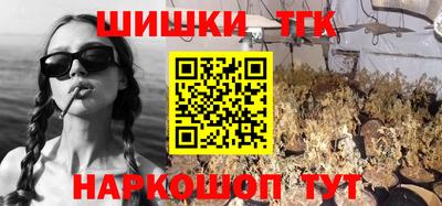 мдпв Камень-на-Оби